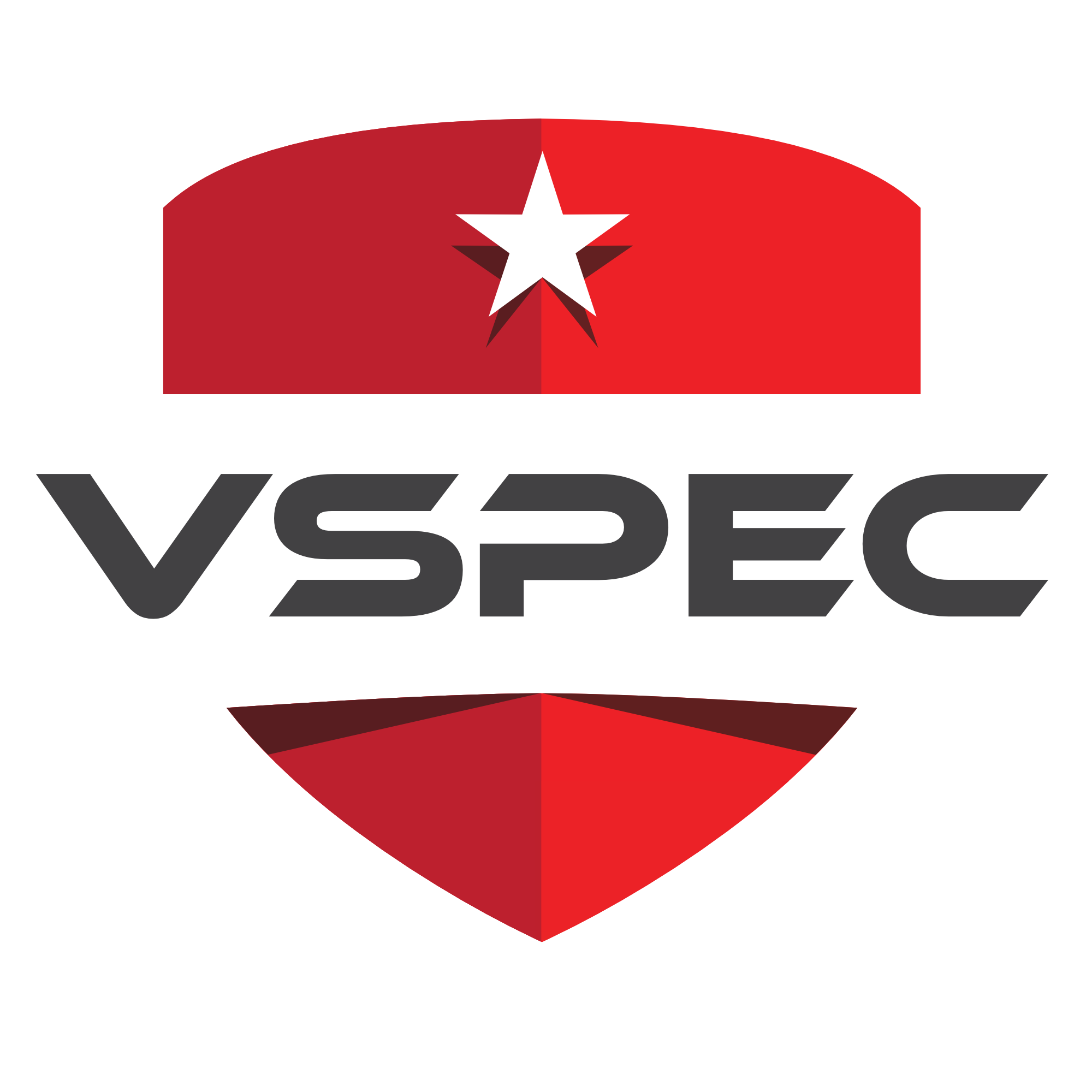 V-SPEC 系列徽章